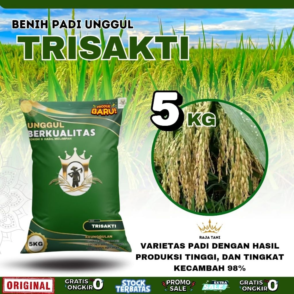BENIH PADI BIBIT PADI  TRISAKTI  ORIGINAL KEMASAN 5KG BERKUALITAS