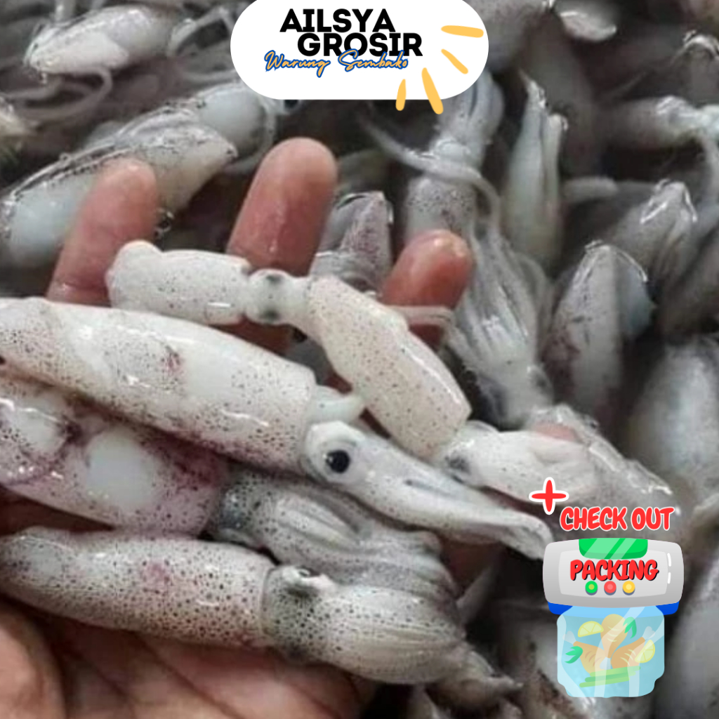 

BABY CUMI KECIL SEGAR FRESH 1 KG