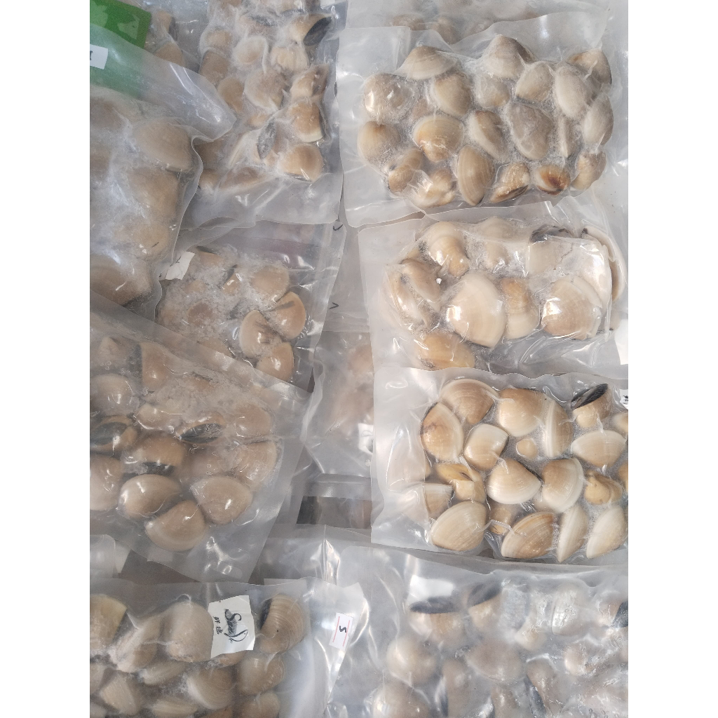 

KERANG TAHU 500 GR / PACK