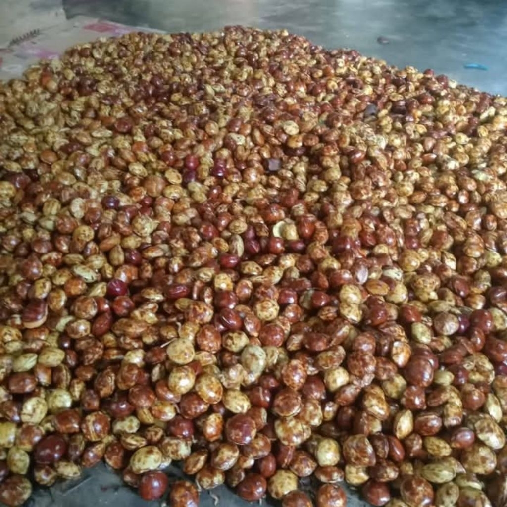 

Jengkol tua 500 gram