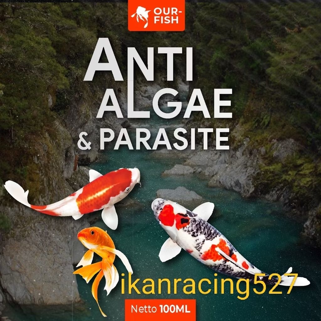 anti algae dan parasit ikan cupang/hias lain nya