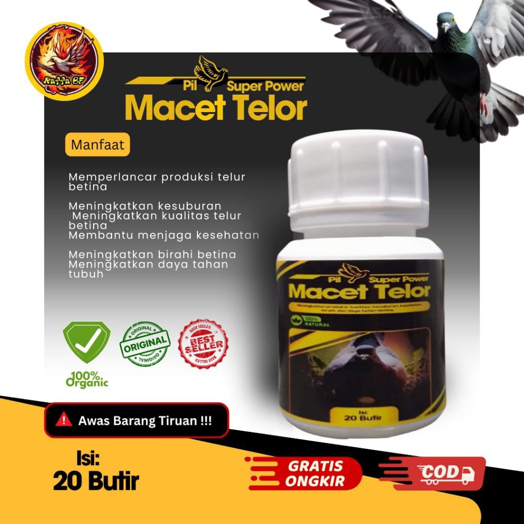 OBAT MACET TELOR MERPATI SOLUSI MERPATI BETINA MACET TELOR