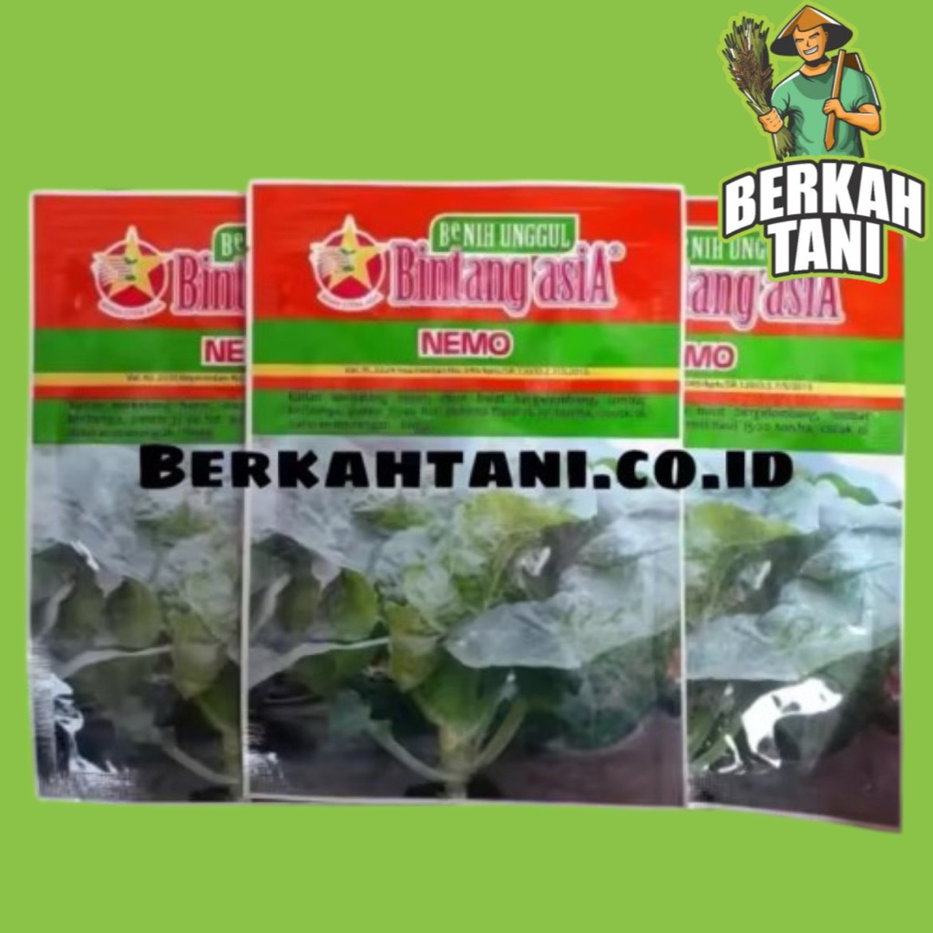 Nemo 10gr Benih Sayuran Sawi Hijau Kailan Bintang Asia 100% Original Nita Sakura