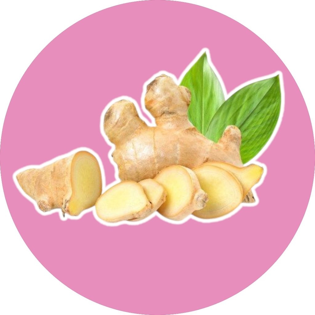 

Jahe gajah putih super bergaransi