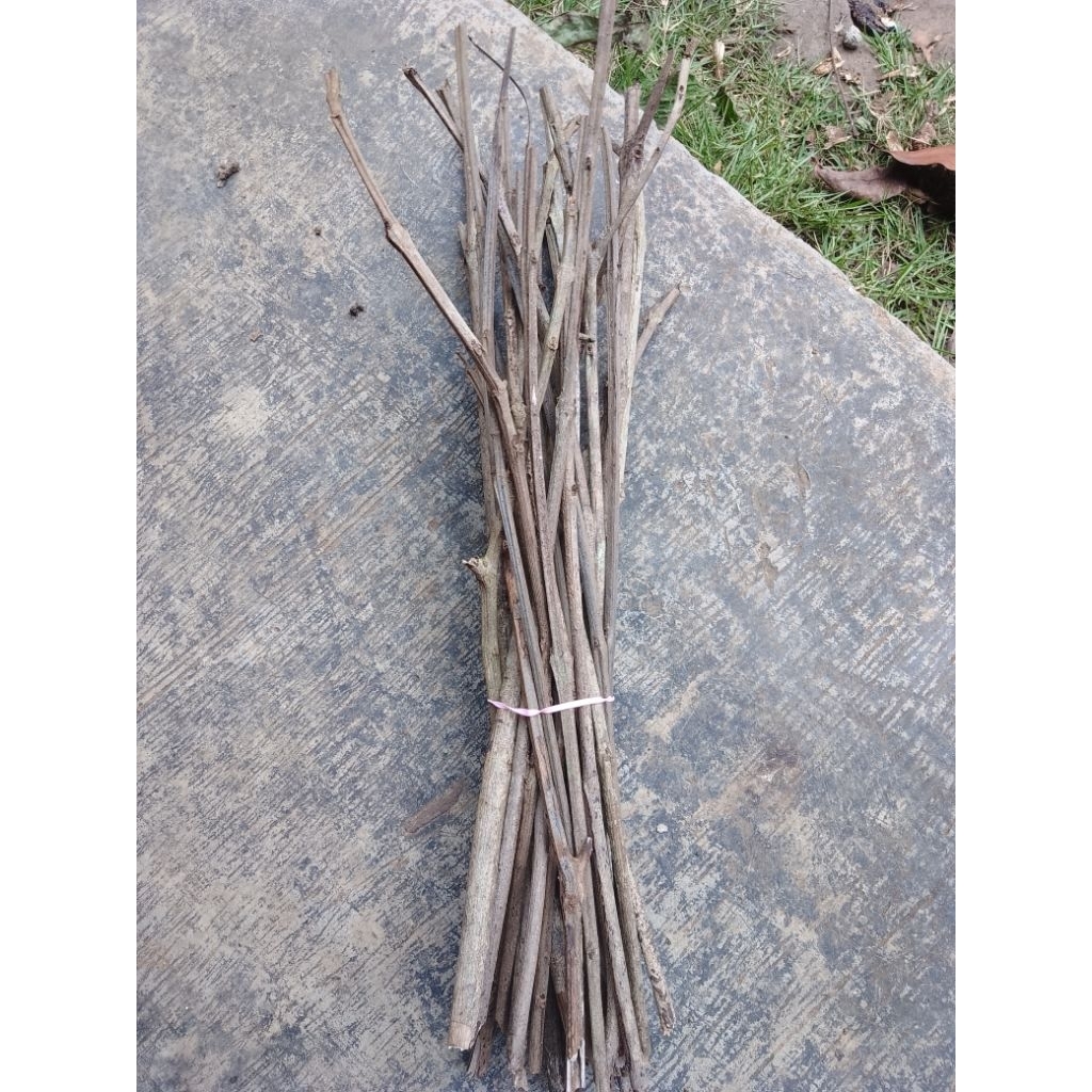 ranting pohon kecil kayu hias (isi25batang)panjang 18_21cm