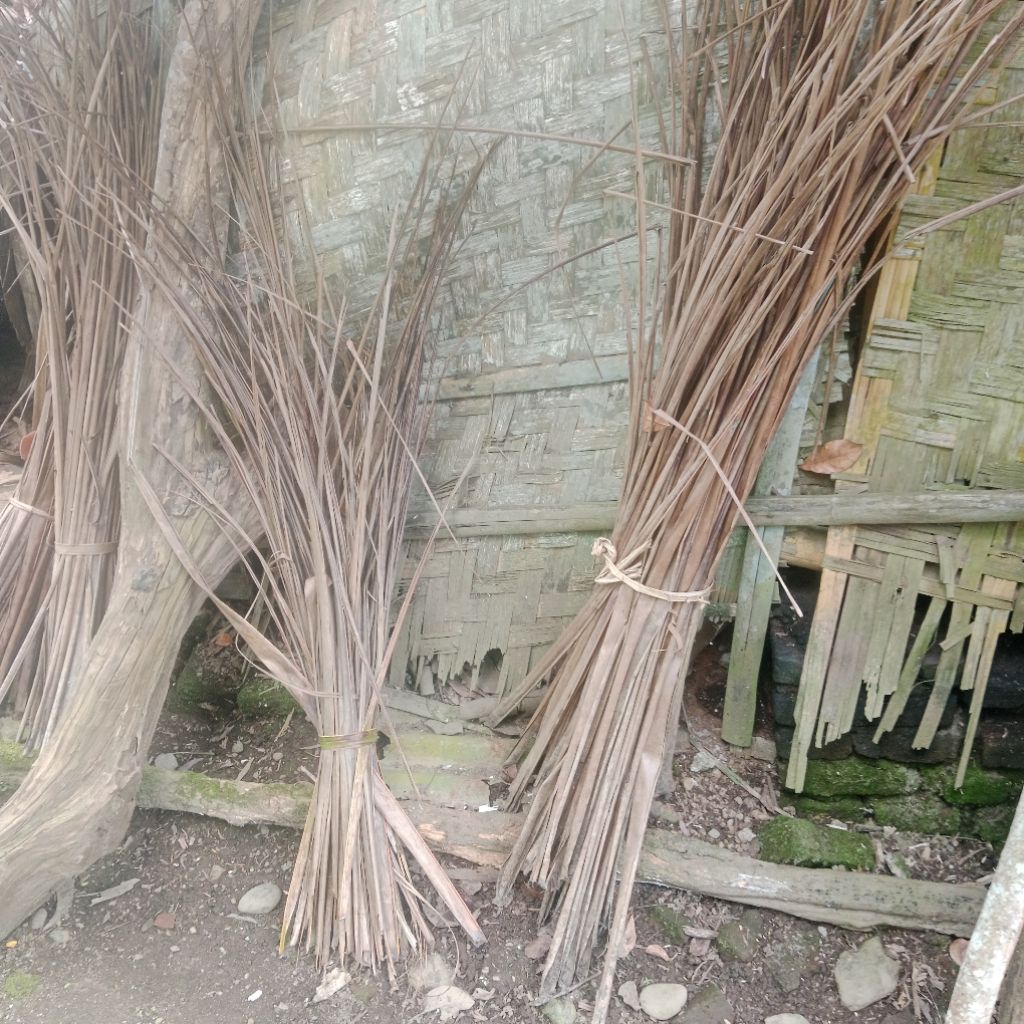 

Blarak/Daun Kelapa Kering/Bahan Kayu Bakar Tradisional 1 kg