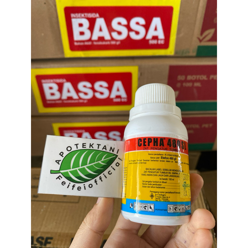 CEPHA 480 SL 100 ML ZAT PENGATUR TUMBUH / PEMATANG BUAH / CEPHA 100ML