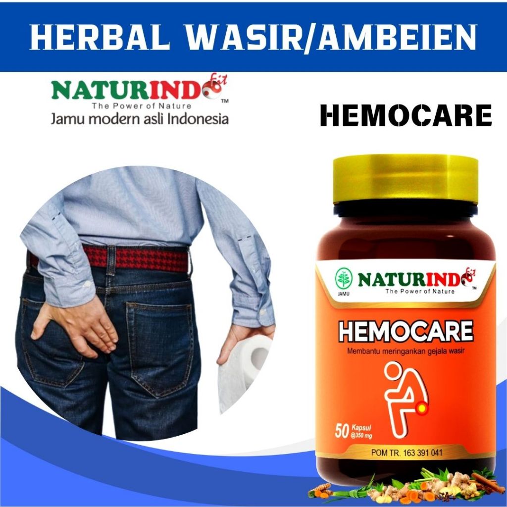 Obat Wasir Stadium 4 Ambeien Paling Ampuh Herbal Hemocare Naturindo