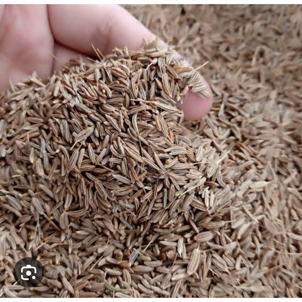 

rempah.jinten kemasan harga 5.000