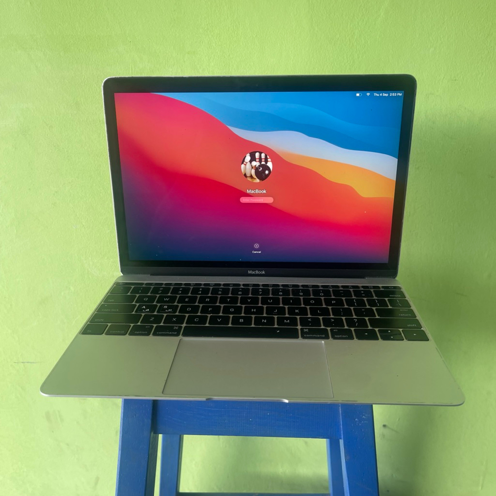 Macbook retina 12inch 2015 Ram 8 SSD 256GB