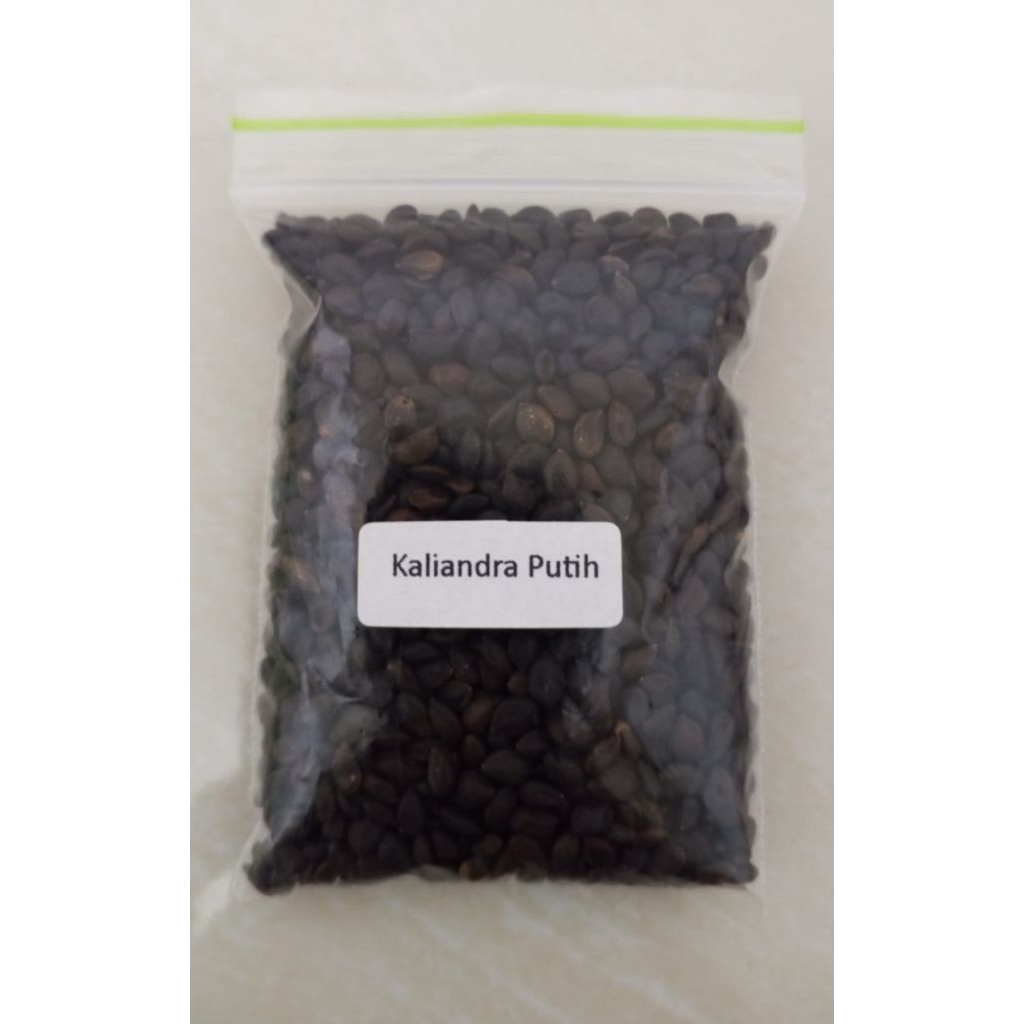 50 gram Biji Benih Bibit Kaliandra Putih