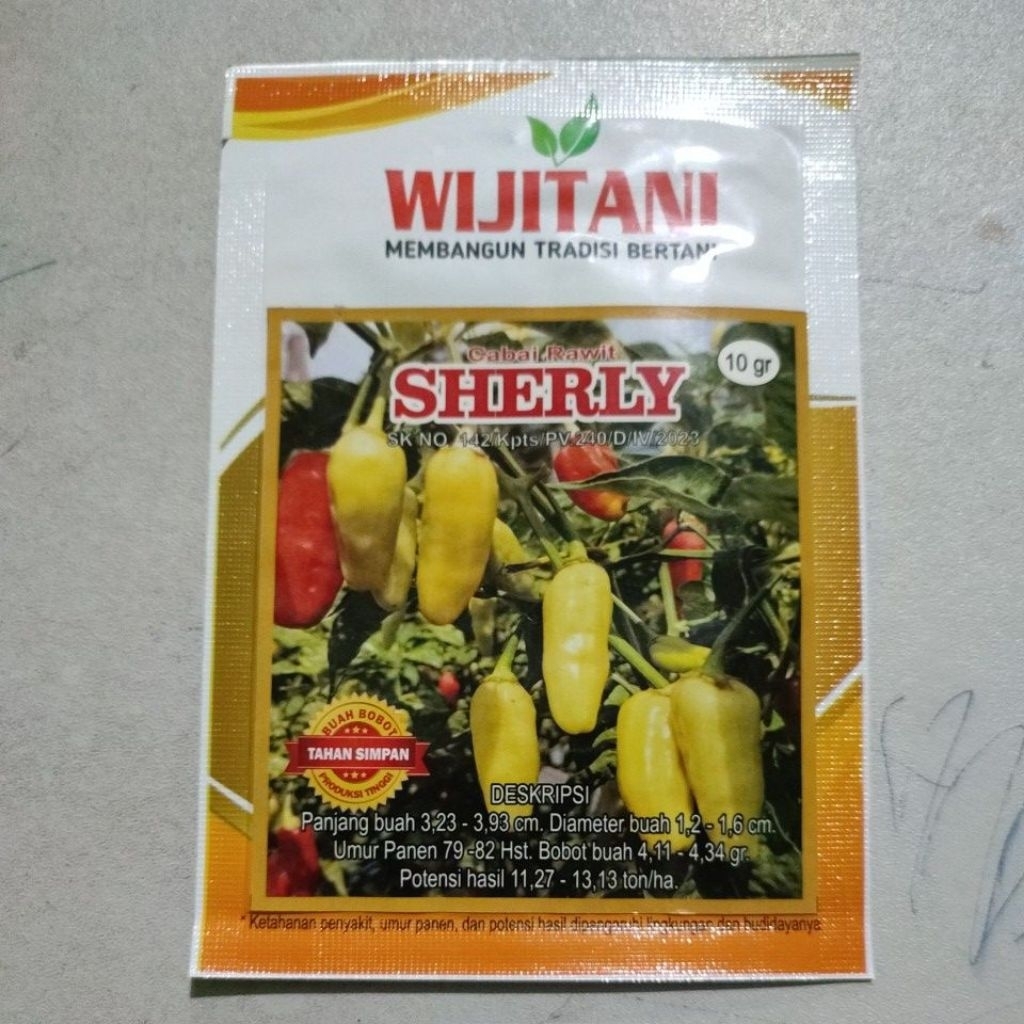 benih cabe rawit Sherly 10gr. type cempluk wijitani