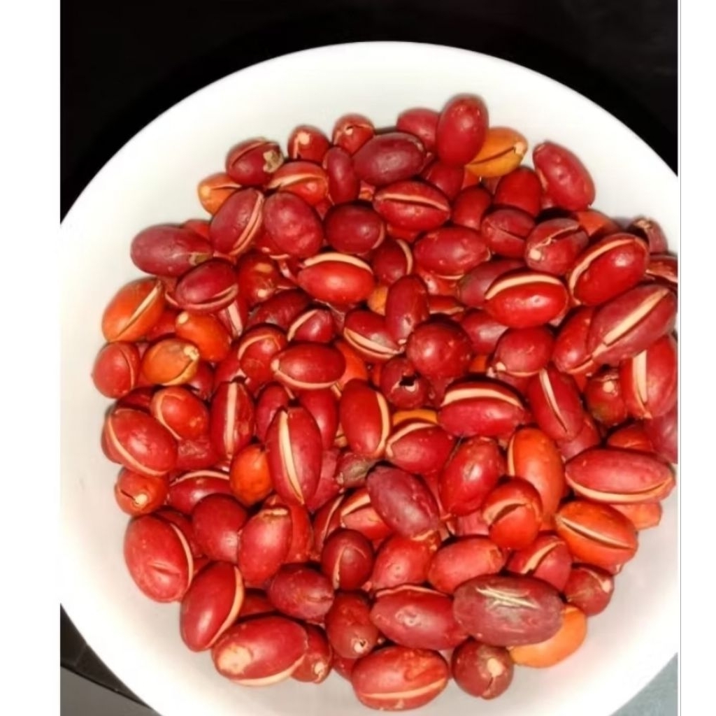 

KULIT MELINJO 1KG FRESH