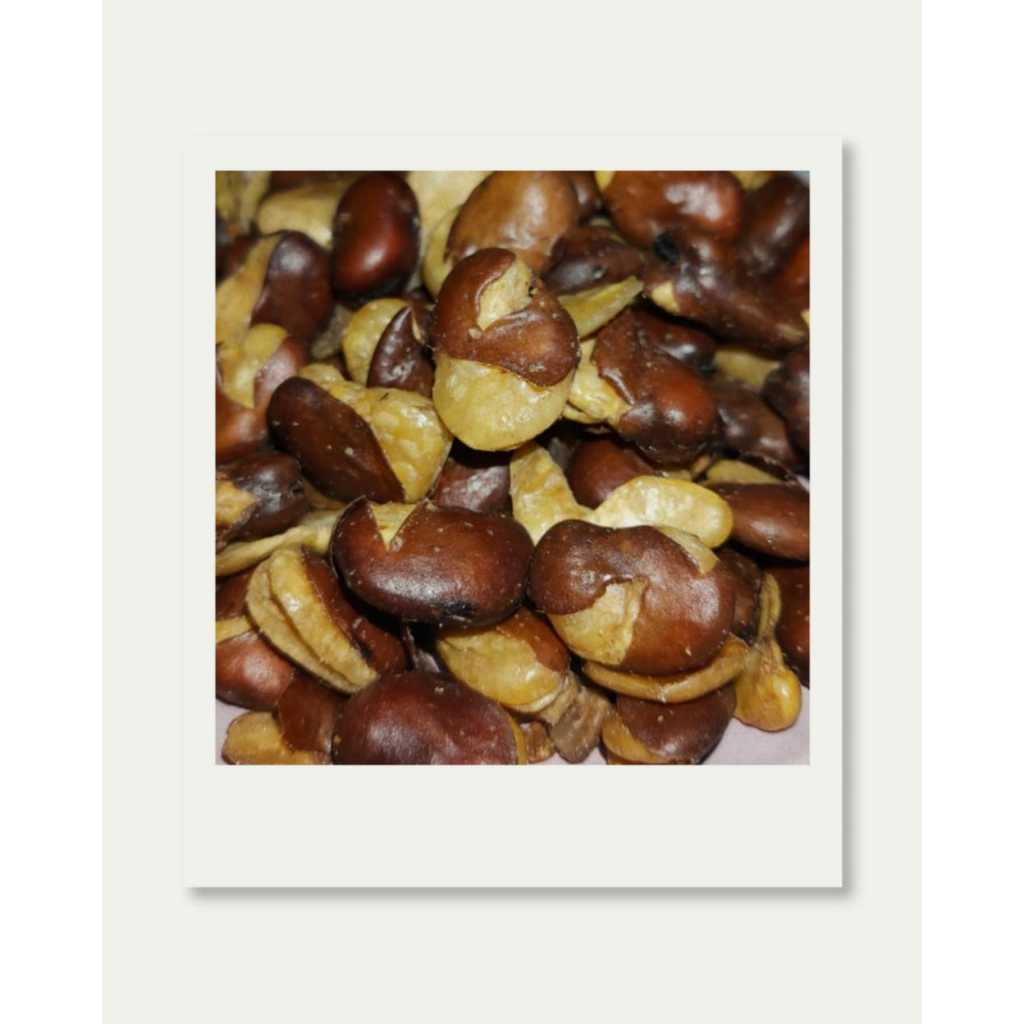 

TERMURAH KACANG KORO KULIT ASIN GURIH 250-500-1000 GRAM KACANG KORO SUPER