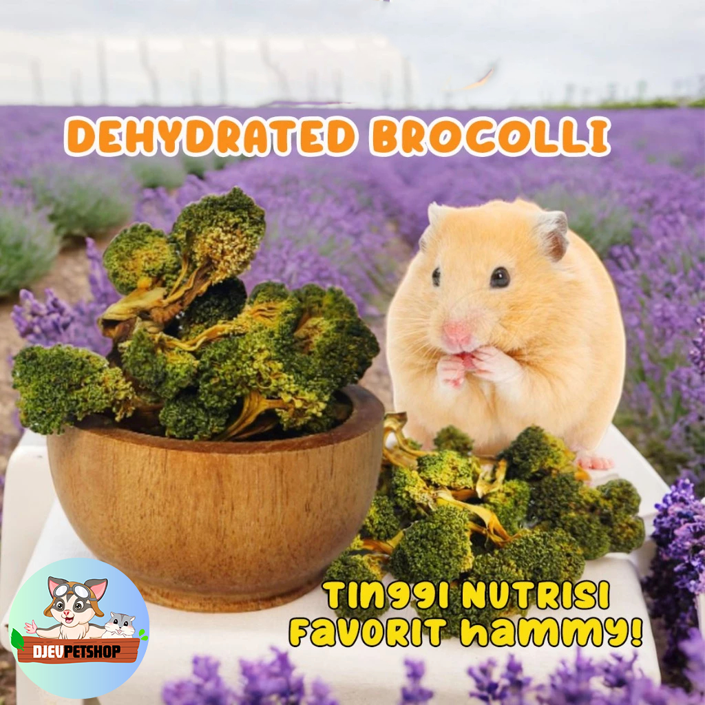 Dehydrated Brocolli Snack Hamster/Marmut Brokoli Kering