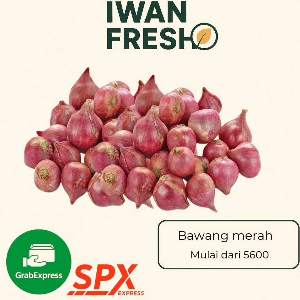 

Bawang Merah KECIL BESAR Segar VACUM 250gr – Siap Masak PRAKTIS BARU BAHAN