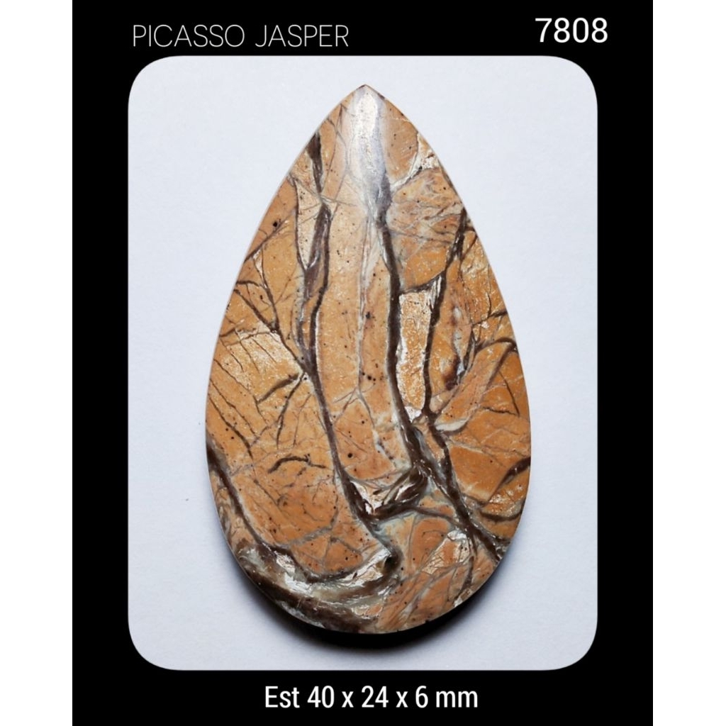 7808 Batu Picasso Jasper