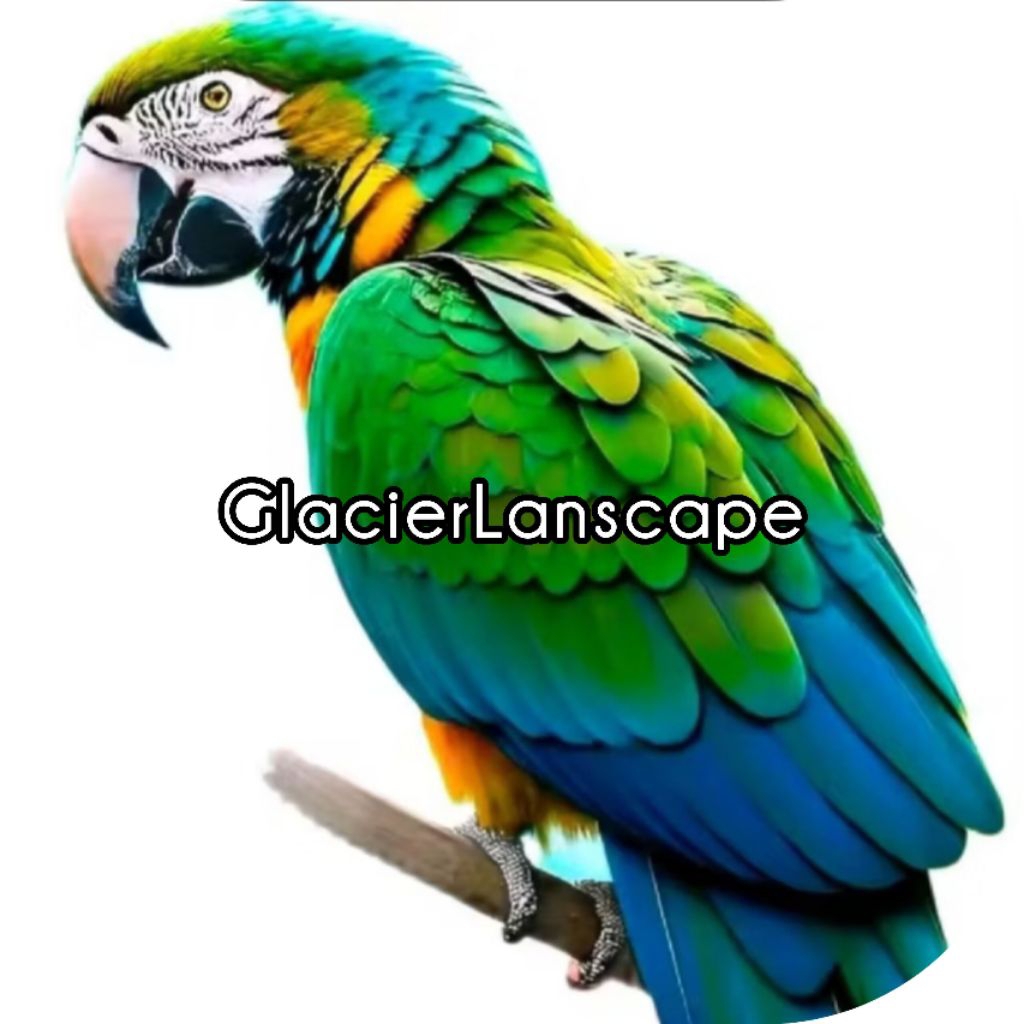 

Telur fertil macaw scarlet original indonesian breed garansi menetas 100%