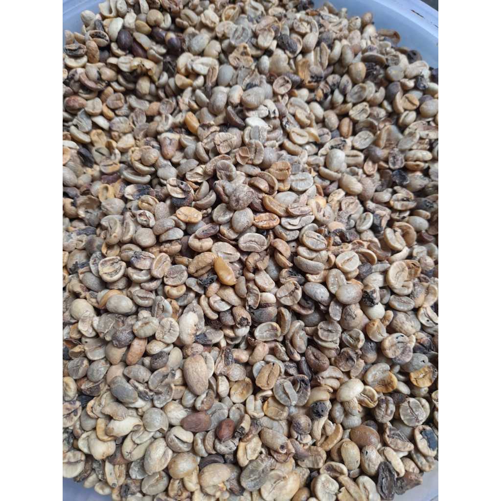 green bean arabika fullwash asalan