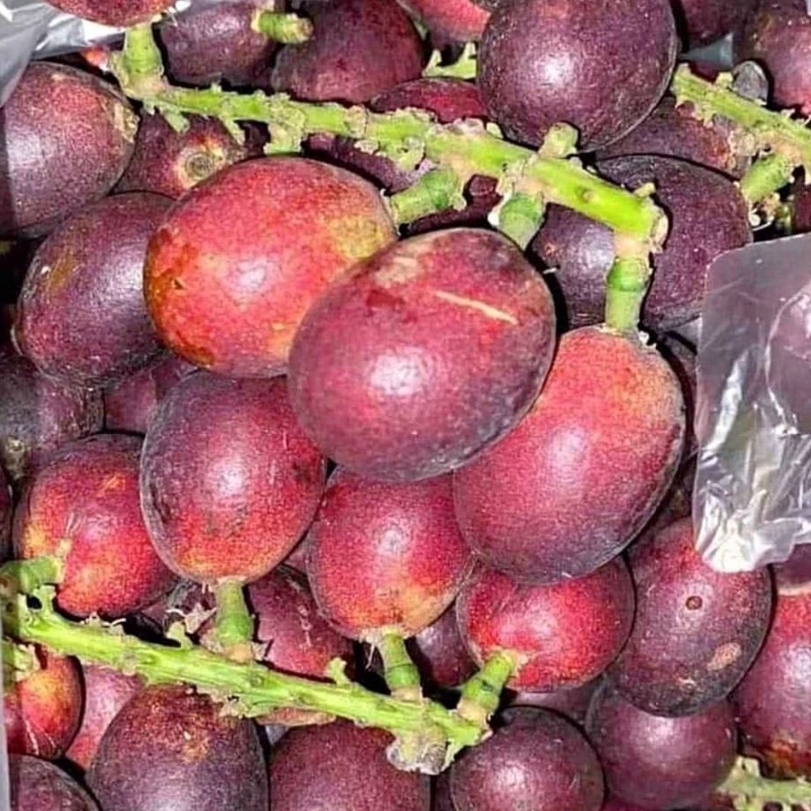 

BUAH MATOA SUPER FRESH MANIS