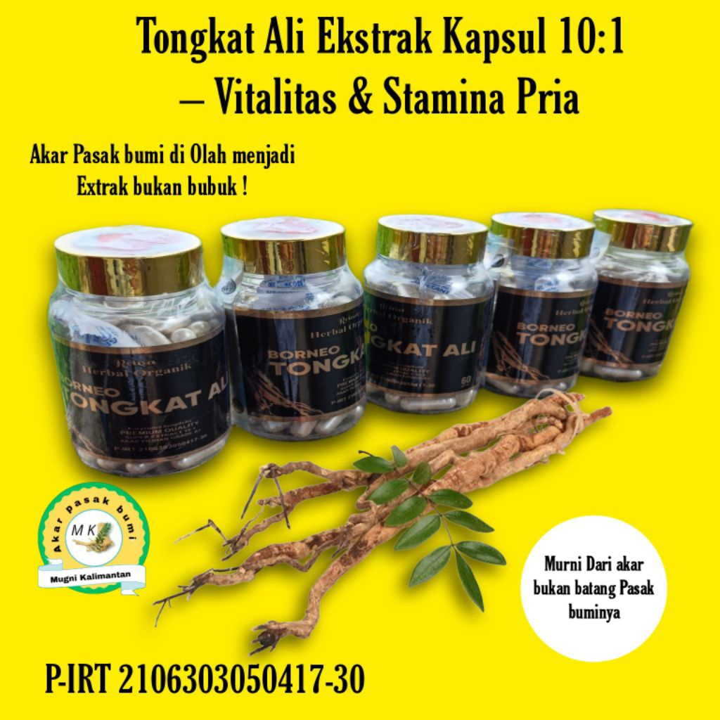 Kapsul Ekstrak Pasak Bumi / Tongkat Ali 10:1 Asli Kalimantan