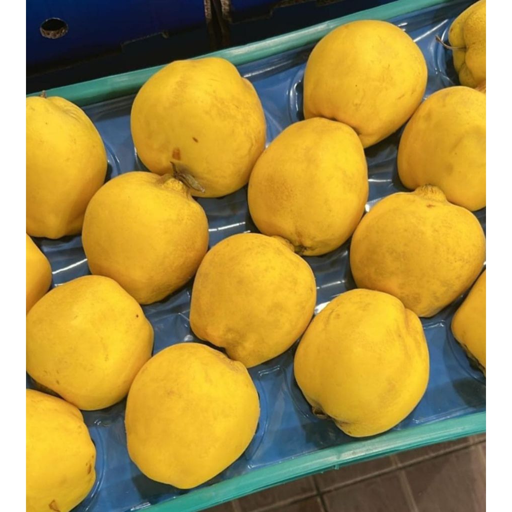 

buah safarjal Quince perbuah readystok 17 September 2025