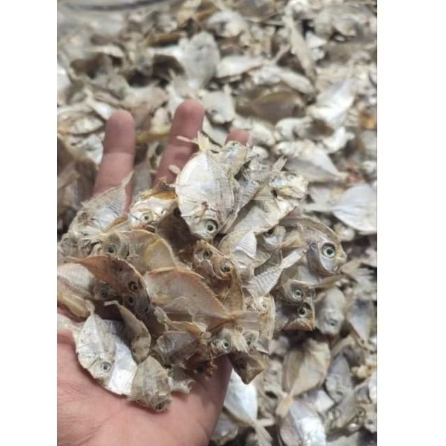 

IKAN ASIN IKAN PITEK (Gereh)