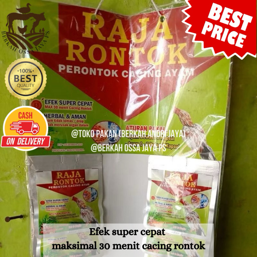 RAJA RONTOK, obat perontok cacing ayam bahan herbal (harga 1 sachet)