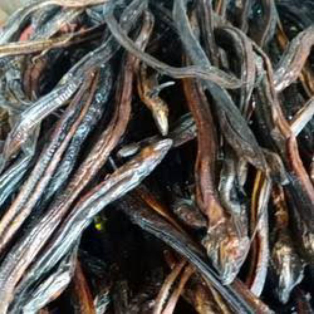 

belut asap isi 250gram, 500gram