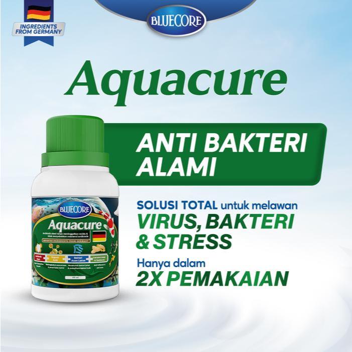BlueCore AquaCure Antibiotik Alami Ikan Solusi Mencegah bakteri dan Virus (Cocok untuk berbagai ikan