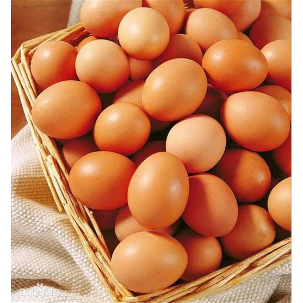 

Telur ayam negeri / horn 1 kg