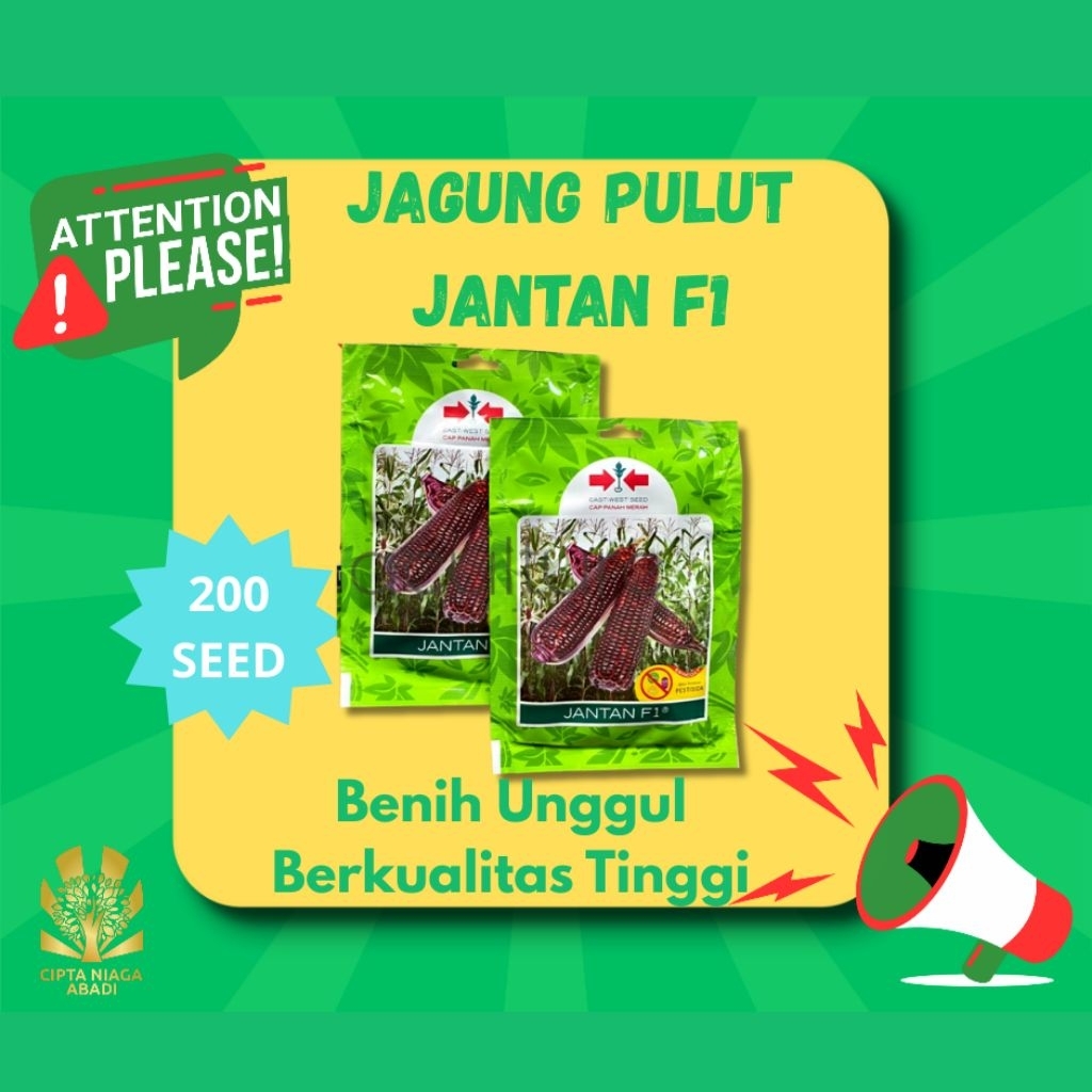 Benih Jagung Pulut Ungu JANTAN F1, 200 Seed