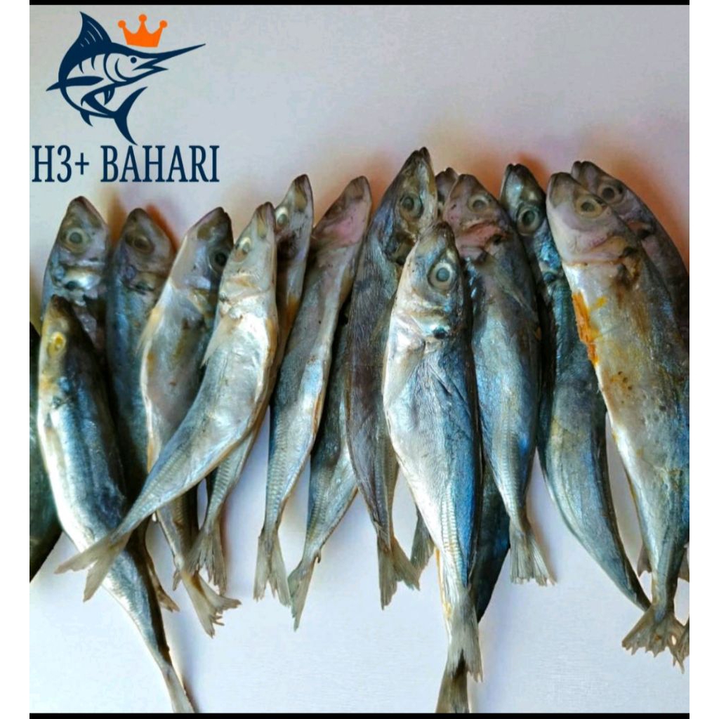 

IKANASINLAYANGJAPUHHARGAMURAHKWALITASPREMIUM14.000-55.000