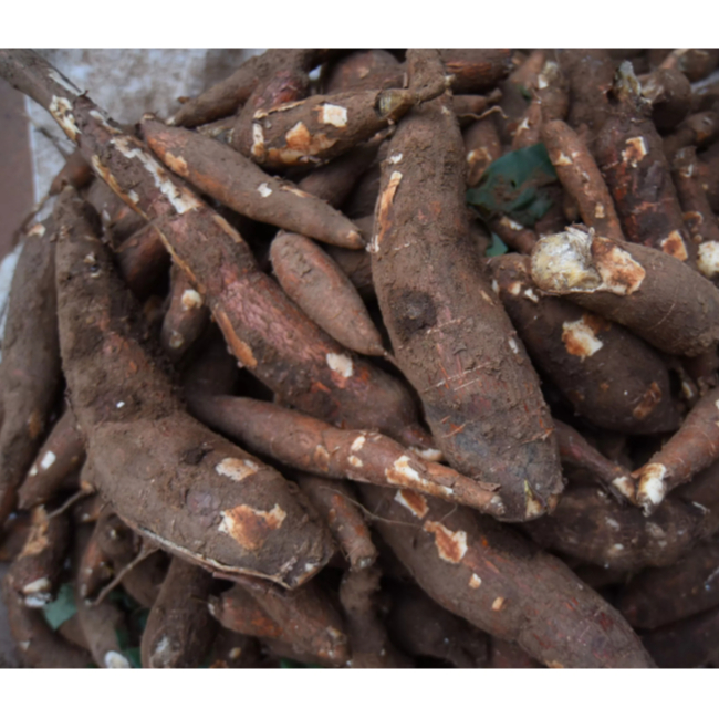 

1 Kg Singkong Mentah/ 1 Kg Ubi Singkong Segar Alami