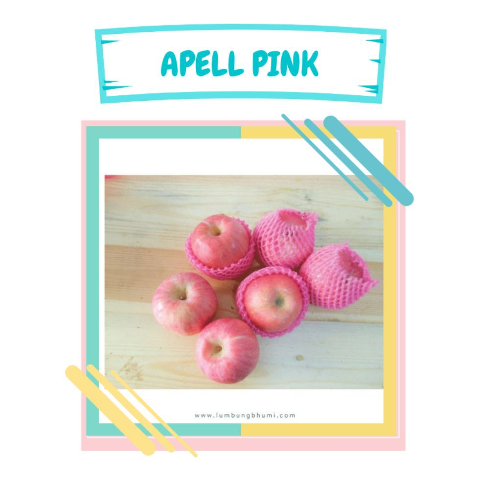 

buah apel fuji