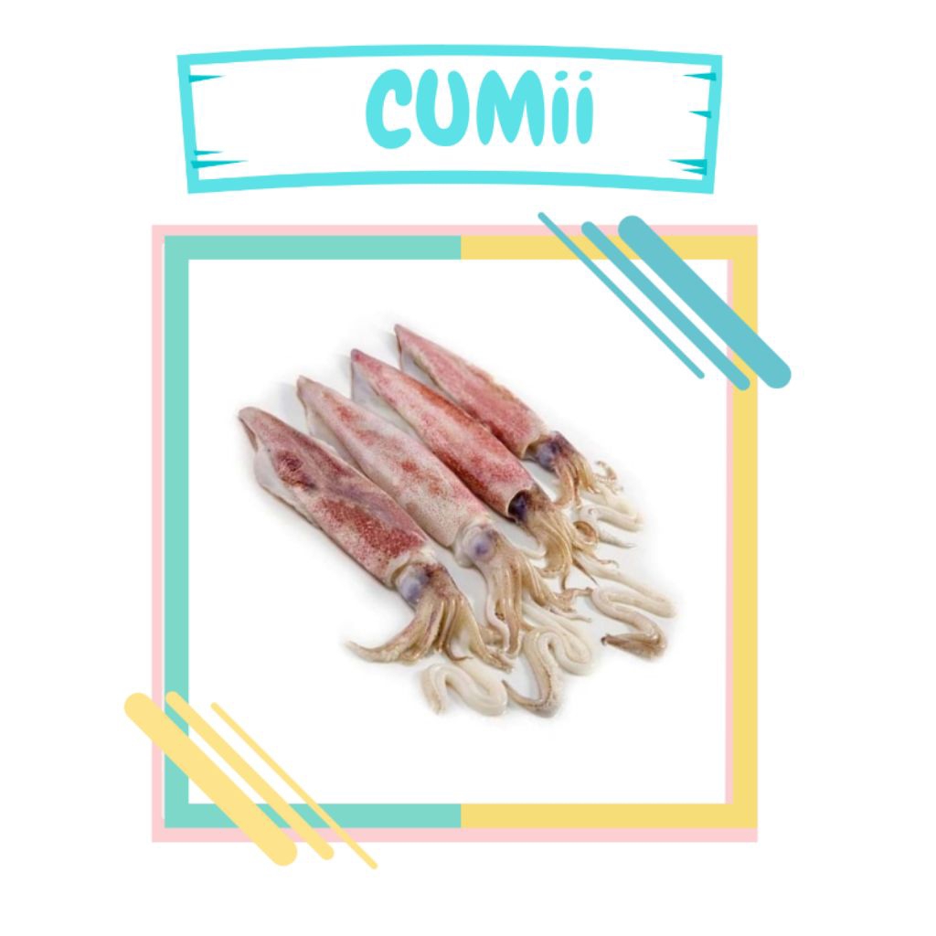 

cumi cumi teropong per500gr
