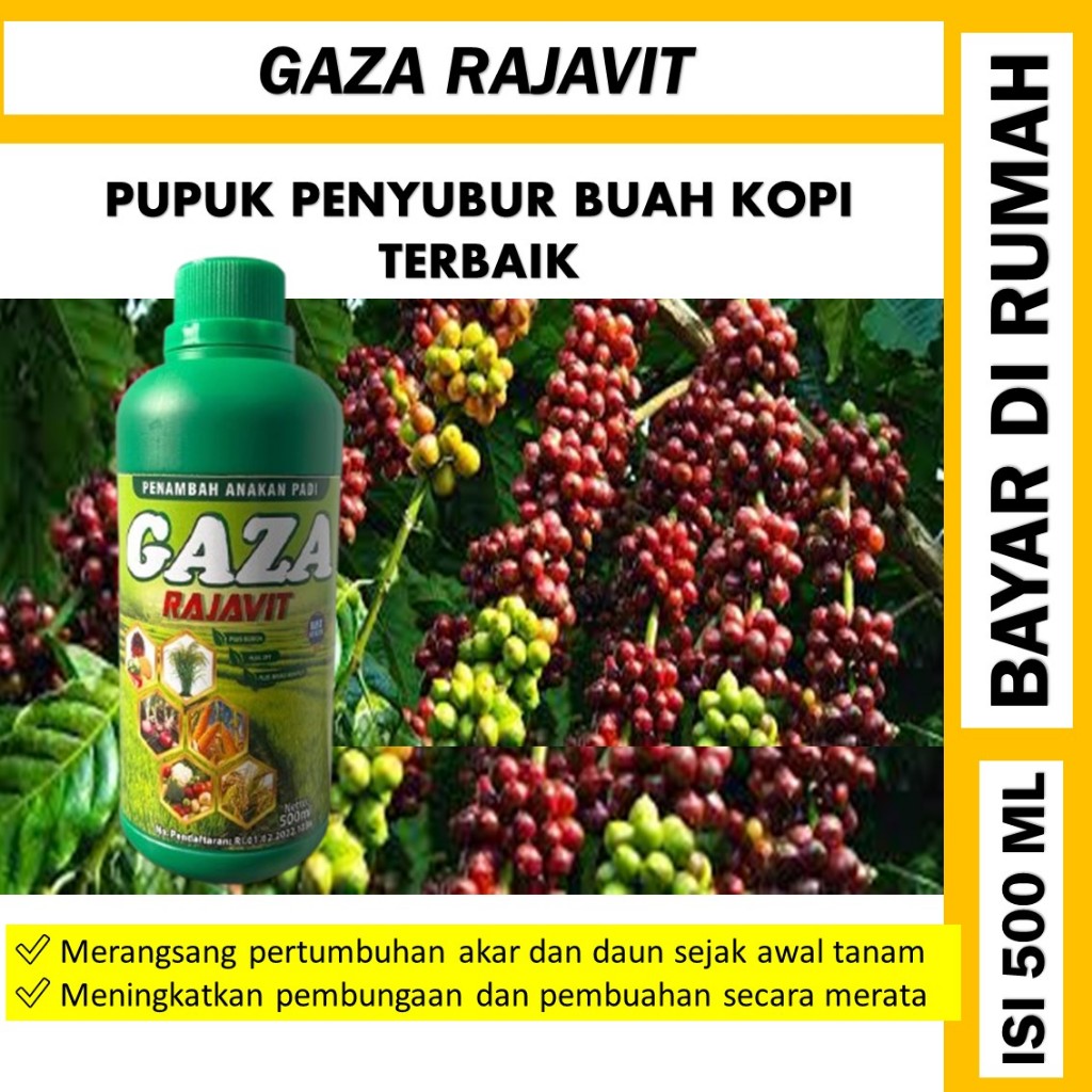 gaza rajavit pupuk organik cair tanaman kopi - pupuk cair buah kopi - pupuk buah kopi anti hama tana