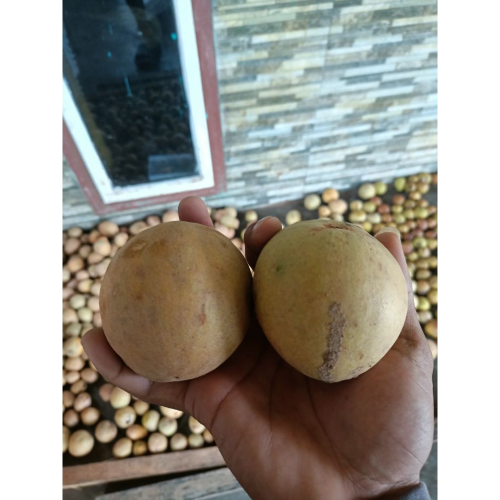 

Buah Sawo Madu Grade A 1kg