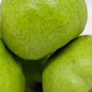 

Pear ponkam 500g