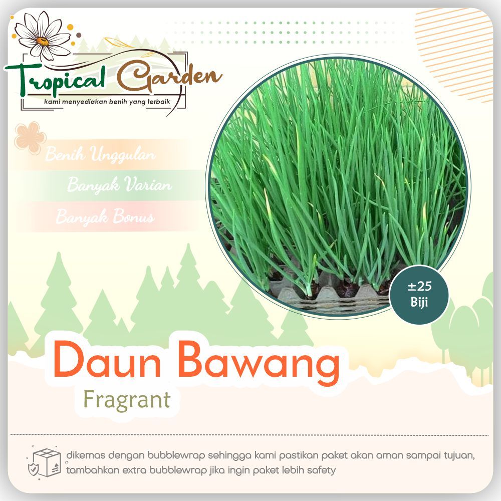 ✿ Tropical Garden ✿ Benih Daun Bawang Fragrant Bibit Daun Bawang Hibrida F1 COD ✅