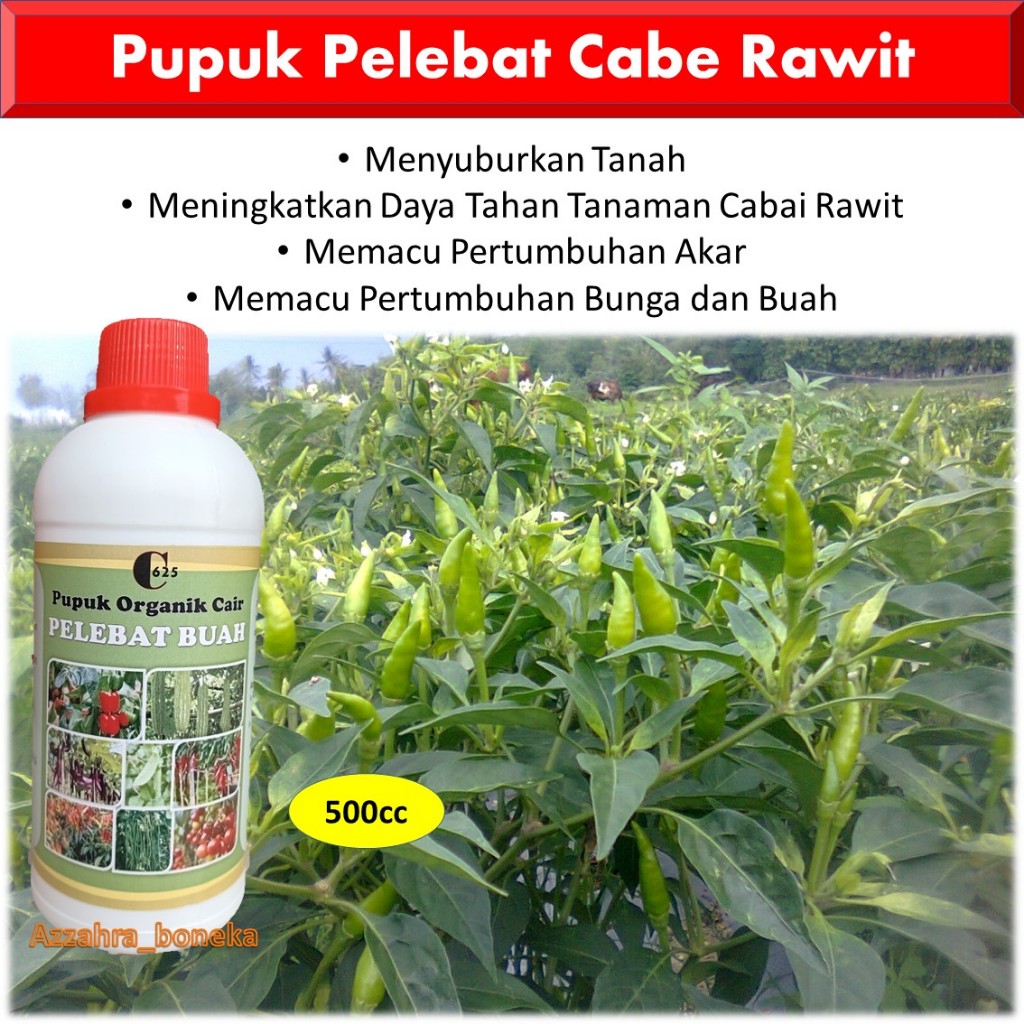 Pupuk Cabe Rawit Agar Berbuah Lebat / Pupuk Cabe Rawit Pelebat Buah / Pupuk Organik Cabe Rawit / Pup