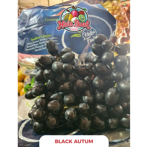 

BUAH Import Sweet Anggur Black Autum 1kg