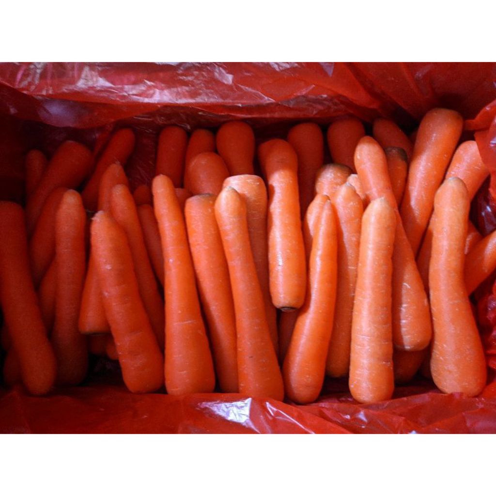 

Wortel import 500gram