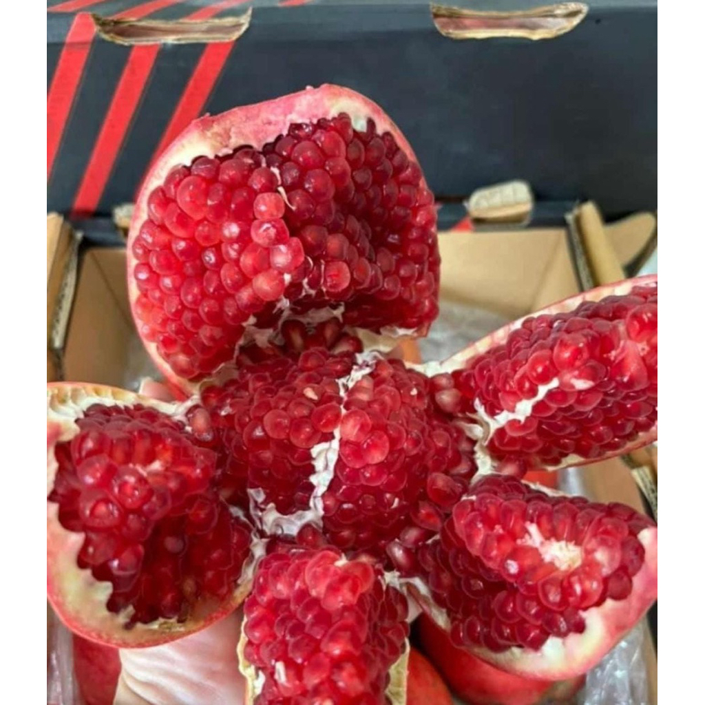 

Delimaa manis wendulita,fresh selu/ 1pcs