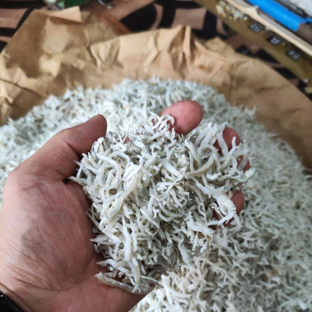 

Teri Nasi / Teri Medan / Teri Benang / Pekbut Tanjungbalai