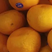 

jeruk mandarin /kino /murcot 500g