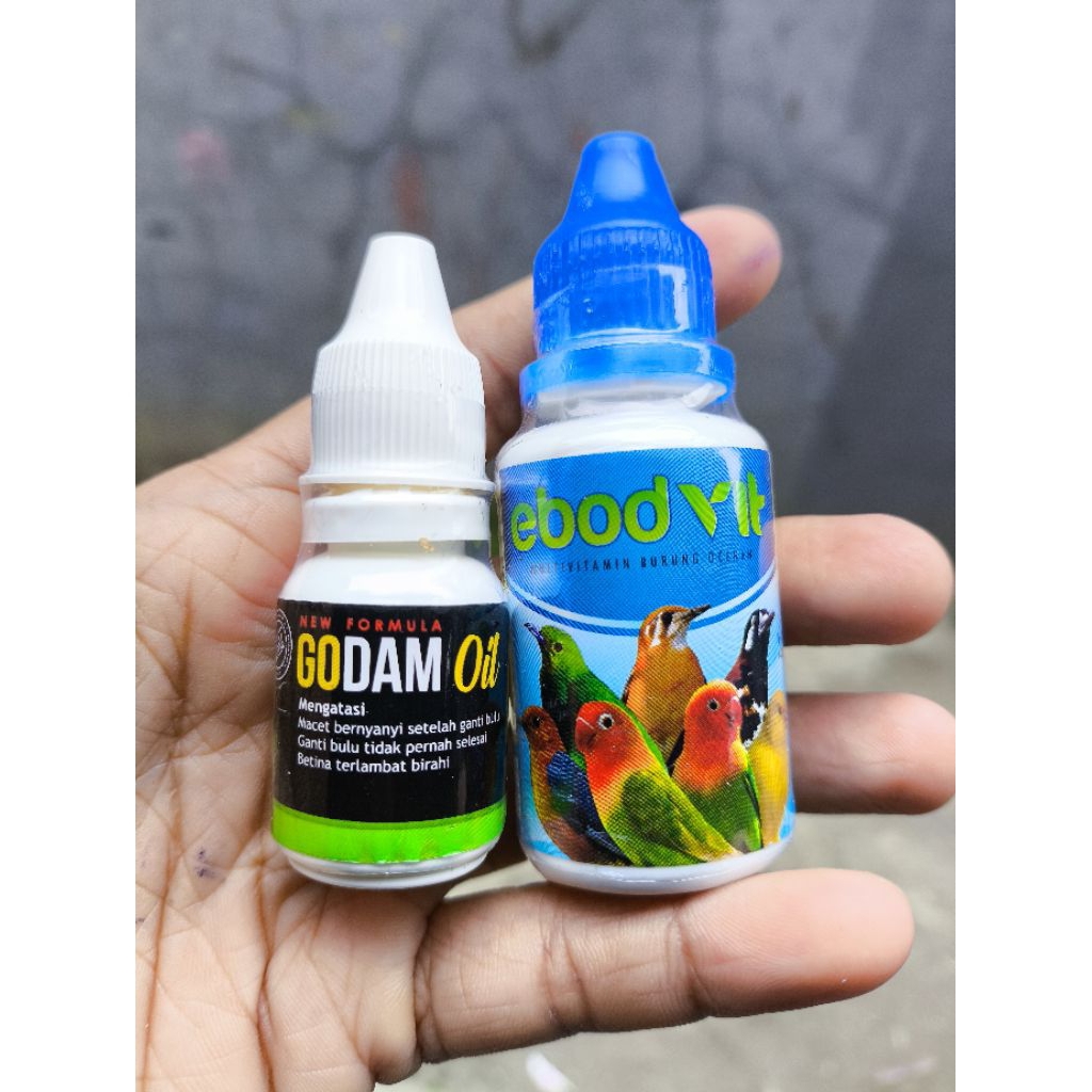 Godam oil plus ebod vit paket hemat racikan tokcer