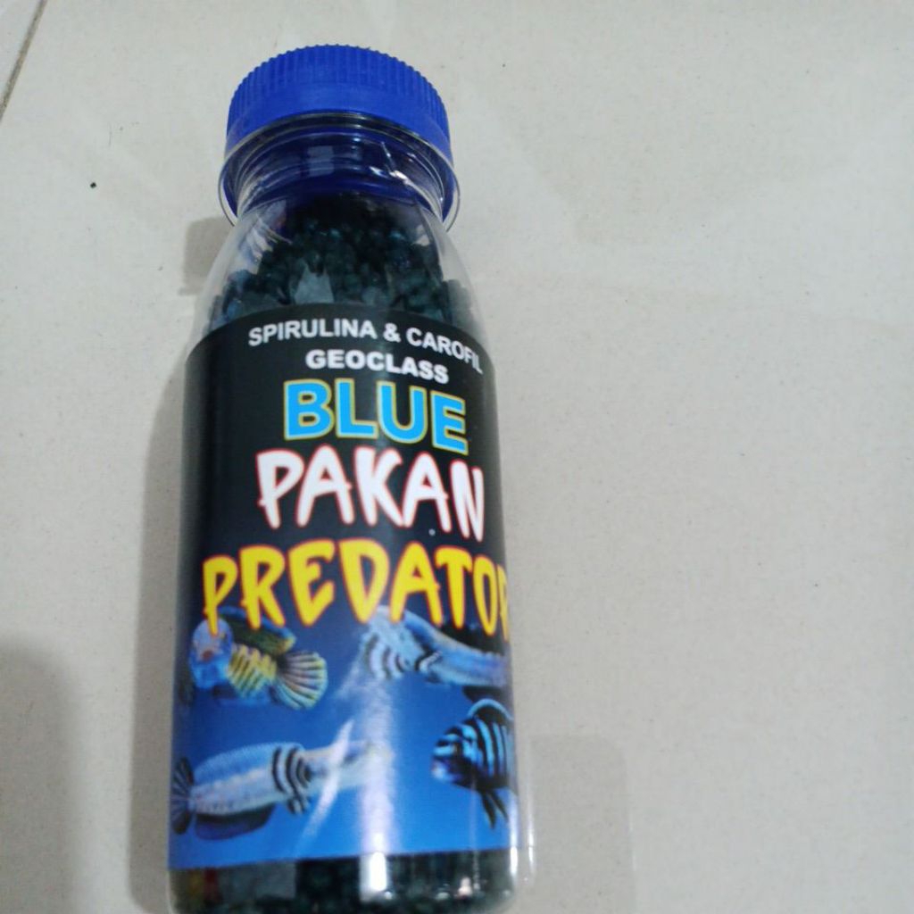 pakan ikan hias predator