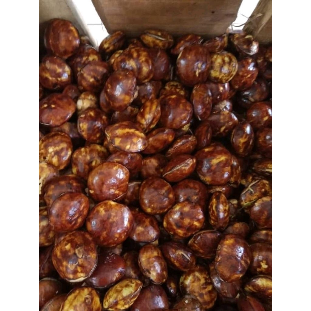 

1KG Jengkol Tua Kupas fresh(PROMO)