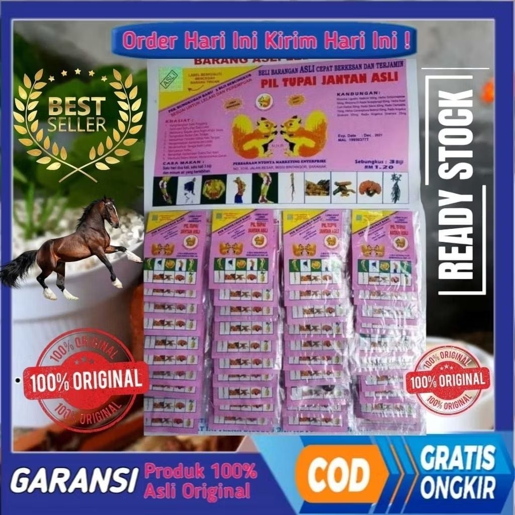 Pil Tupai Jantan Original